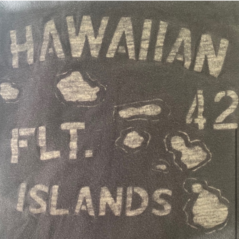 J. Crew - Men’s Gray Hawaiian Islands Graphic Tee - Picture 4 of 4